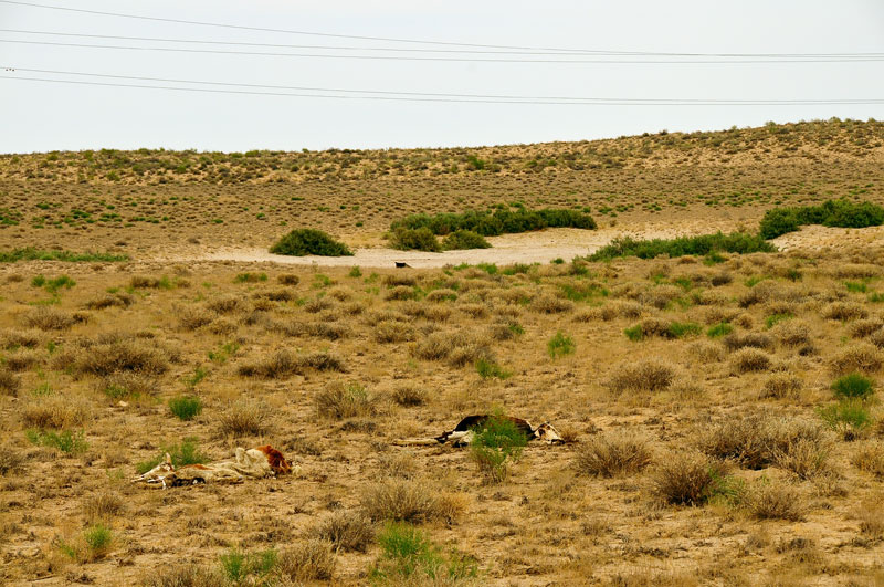 Kazakhstan, Asie Centrale